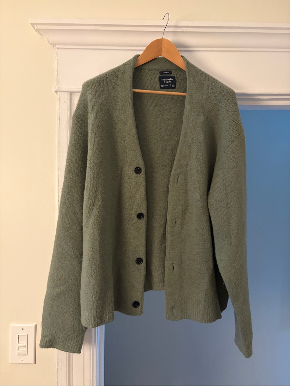Abercrombie & Fitch Olive Green Button-Front Fuzzy Cardigan